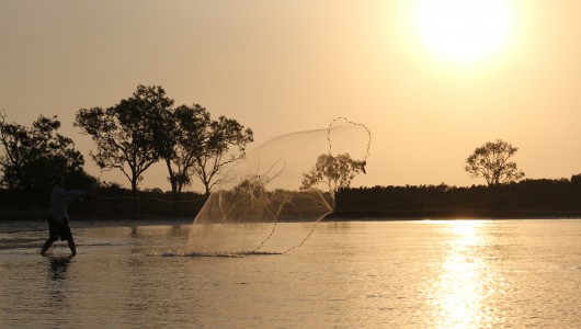 While in Northern Queensland cast nets are a must to get live bait fish for fishing